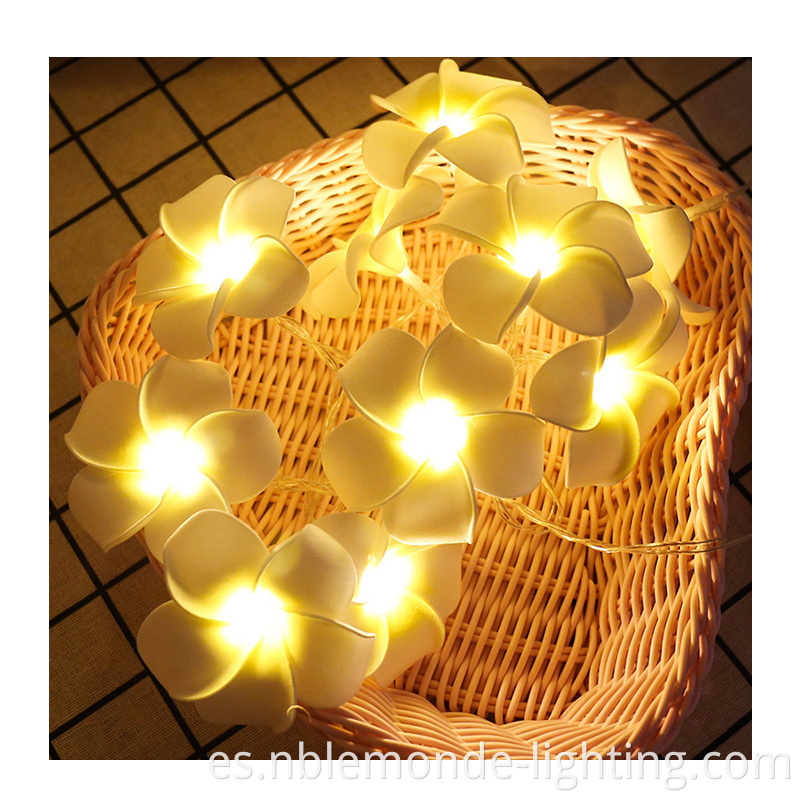 Lantern Decoration String Lights